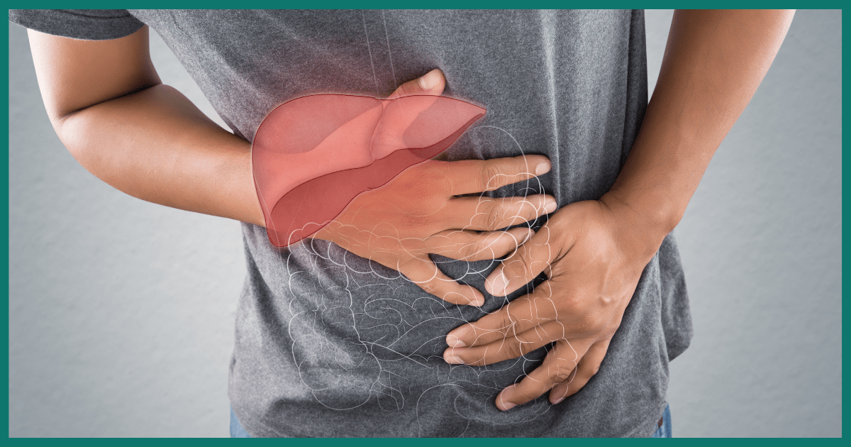Your Liver on Alcohol: A Guide to Damage and Remarkable Healing