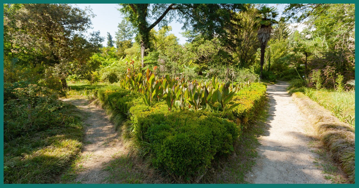 What Are My Options for Alcohol Treatment in Canada?