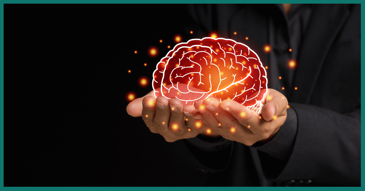 The Vicious Cycle: Scientists Pinpoint the Brain Circuit That Traps Alcohol Users