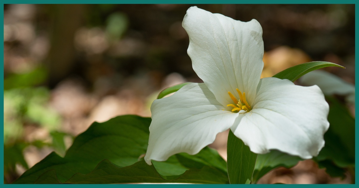 How Do I Stop Drinking? A Realistic Guide to Taking Back Control