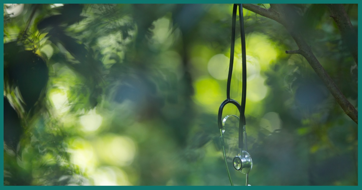 What Alcohol Really Does to Your Body (And Can It Be Reversed?)